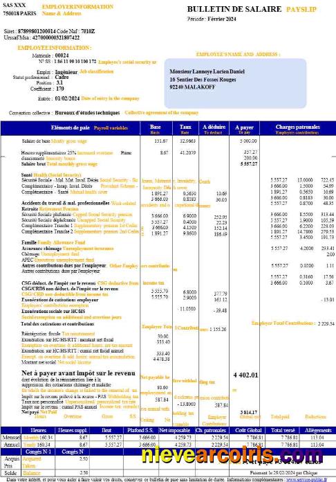France payslip (in French language)